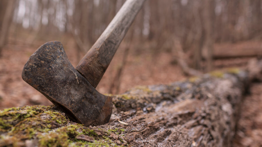 A[KR]초보자 서버|뉴비환영|자원 밀도 2배|WIPE 3/21